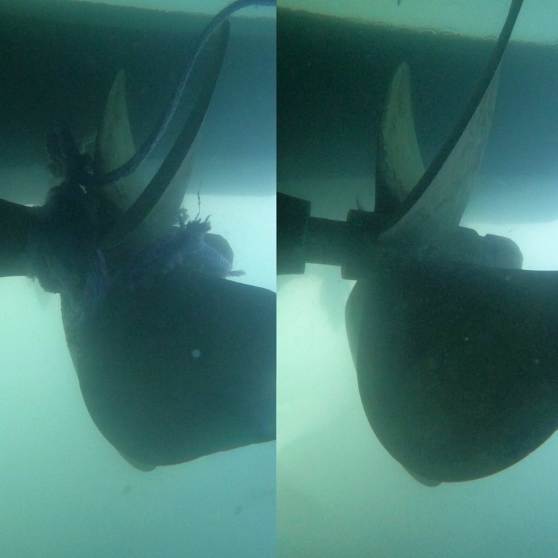 Propeller cleared of line and growth before and after