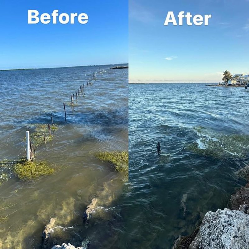 Seagrass and weed removal before and after